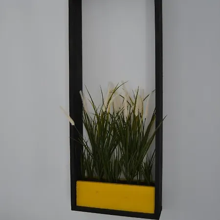 Lägenhet Zen Studio Braşov