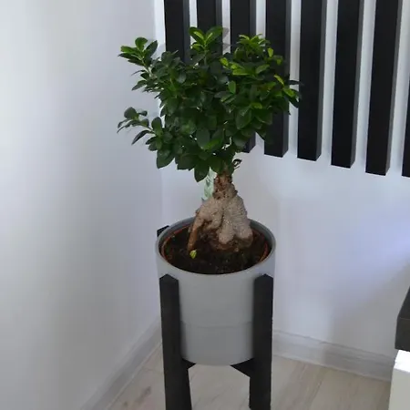 Zen Studio Lägenhet